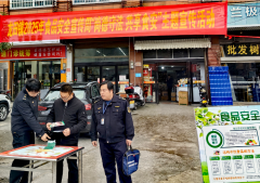 <strong>宁乡市龙田镇开展</strong>