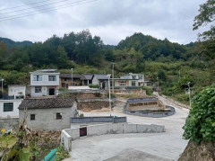 铜陵有色集团公司